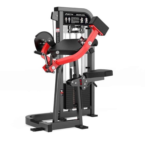 Biceps Curl