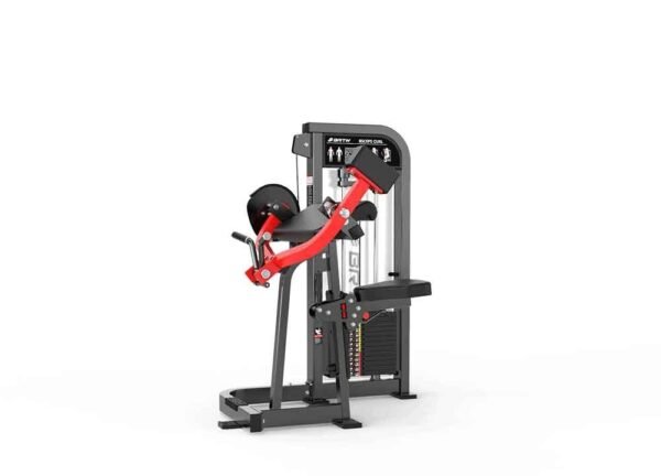 Biceps Curl - Image 4