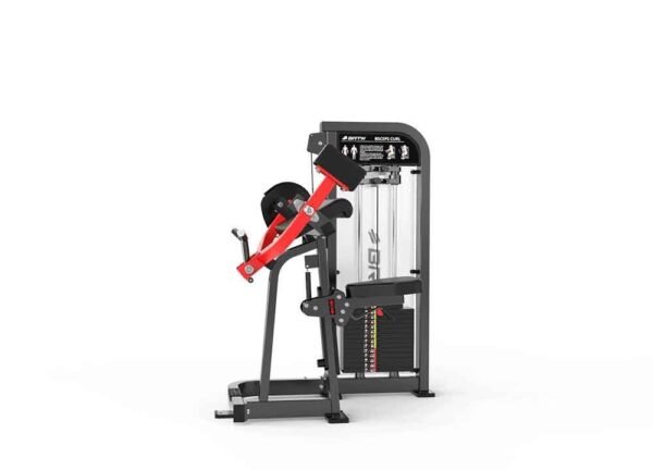 Biceps Curl - Image 3