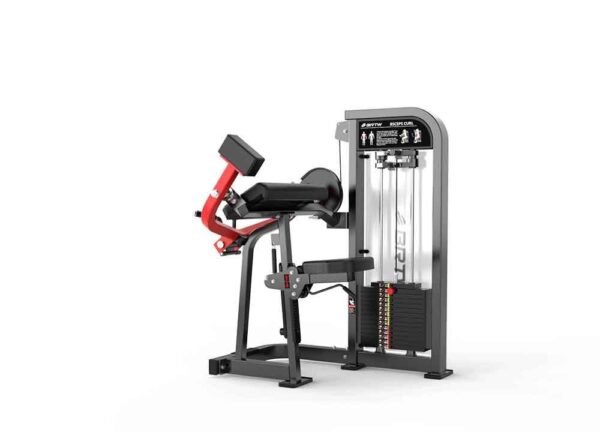 Biceps Curl - Image 2