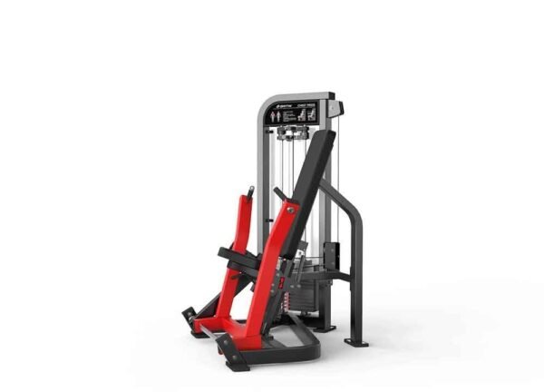 CHEST PRESS - Image 3