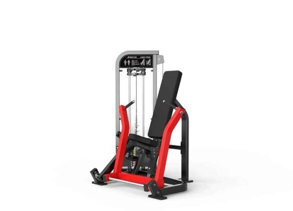 CHEST PRESS - Image 4