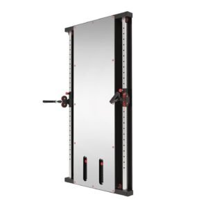 Wall mounted functional trainer
