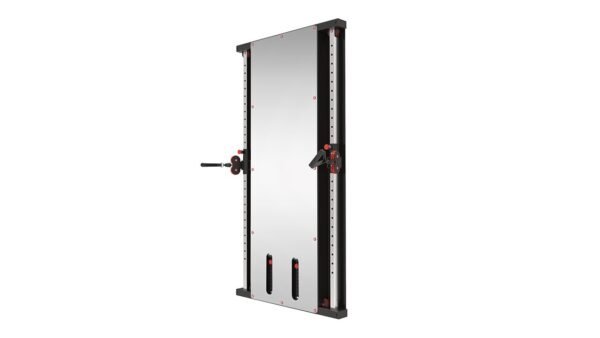 Wall mounted functional trainer