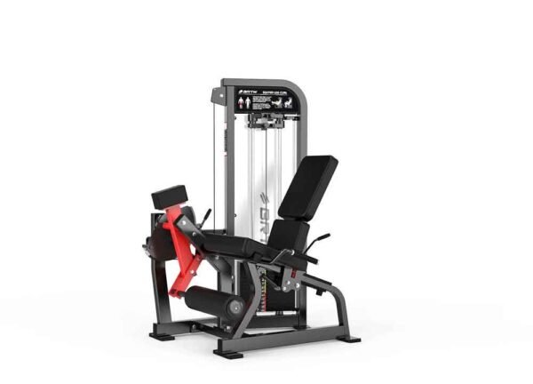 Leg Extension - Image 4