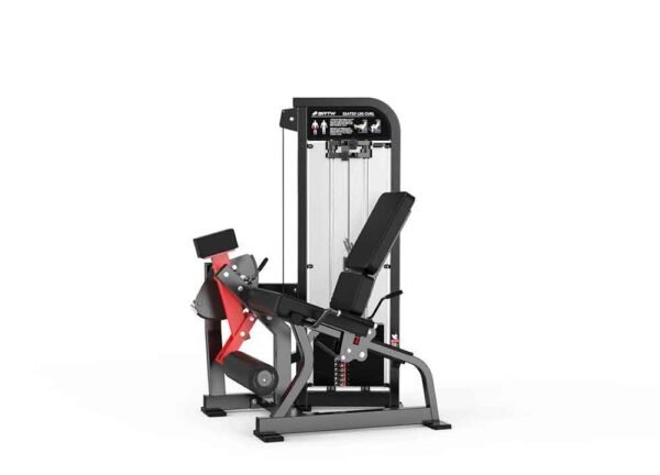 Leg Extension - Image 3