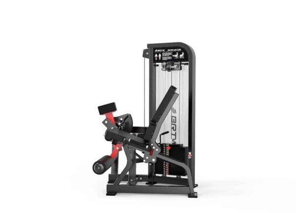 Leg Extension - Image 2