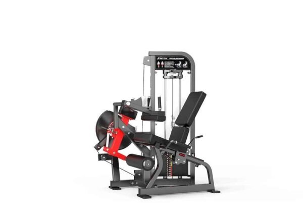 Leg curl & extension - Image 3