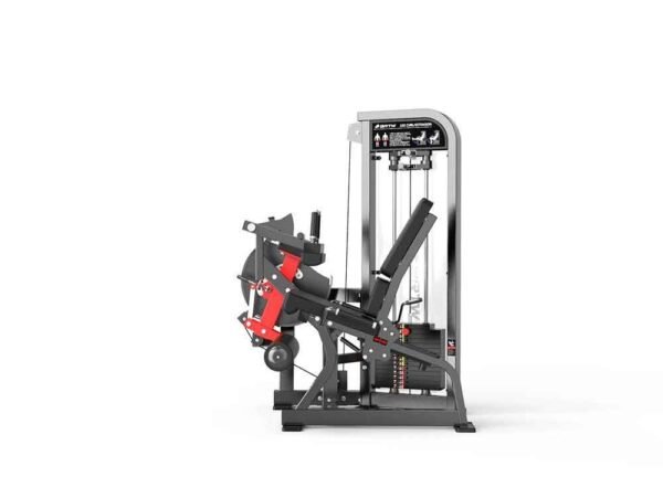 Leg curl & extension - Image 2
