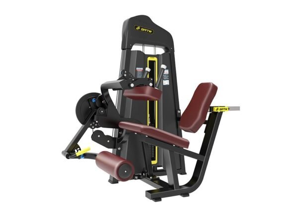 Seated Leg curl & extension