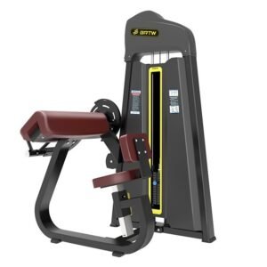 Triceps Extension