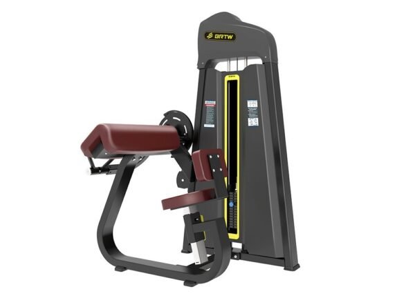 Triceps Extension