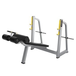 Olympic Decline Bench