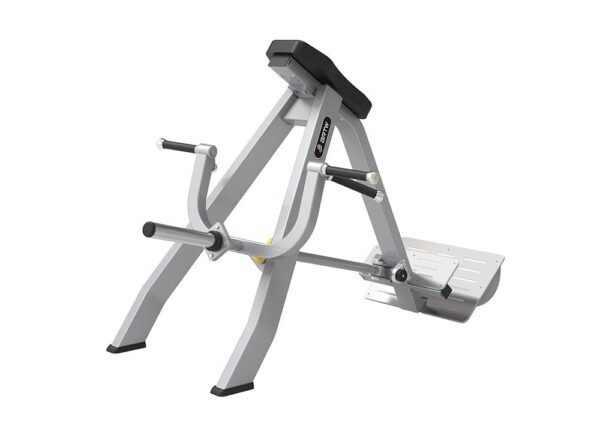 Incline Level Row