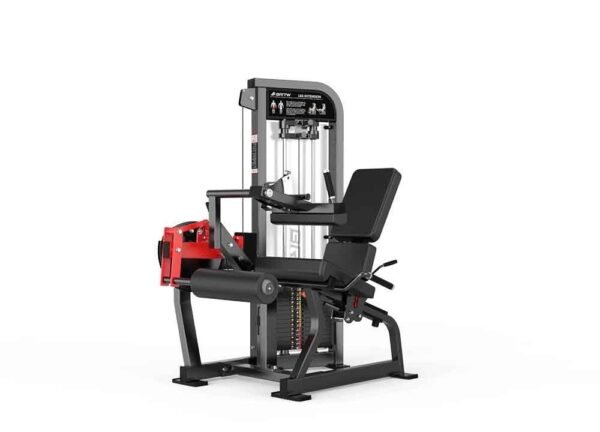 Seated Leg Curl - Image 4