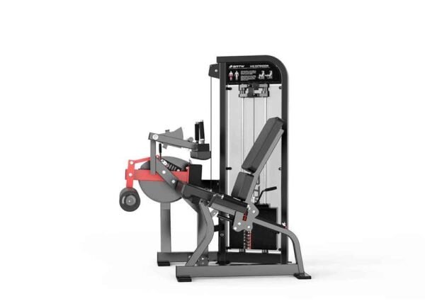Seated Leg Curl - Image 2