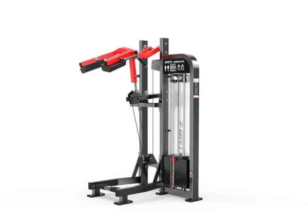Standing Calf Raise - Image 3