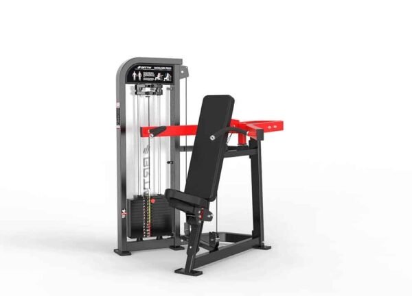 Shoulder Press - Image 4