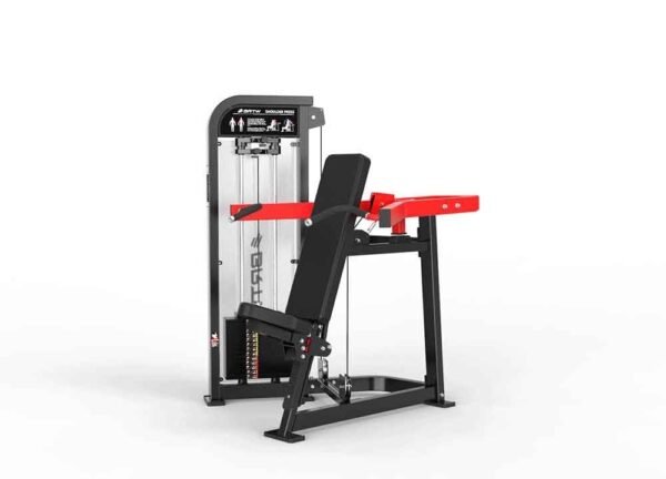 Shoulder Press - Image 3