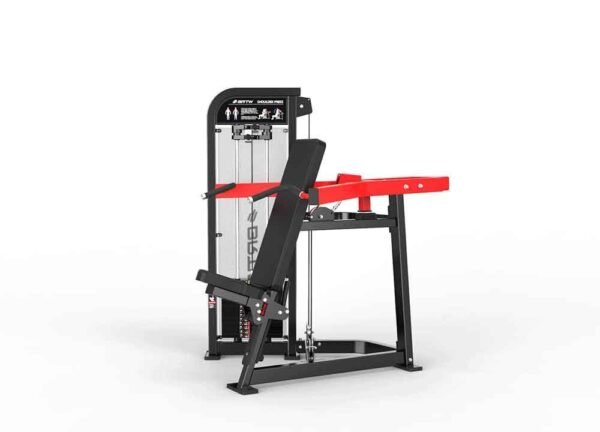 Shoulder Press - Image 2