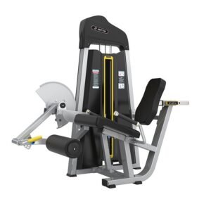 Leg Extension