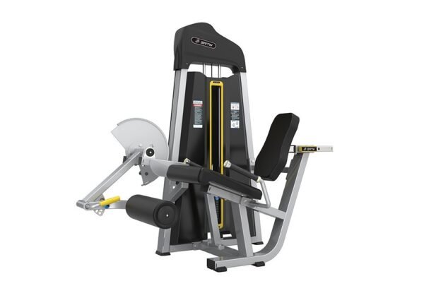 Leg Extension