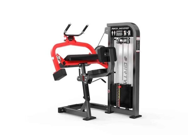 Triceps Extension - Image 4