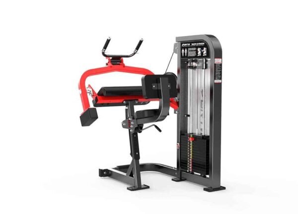 Triceps Extension - Image 3