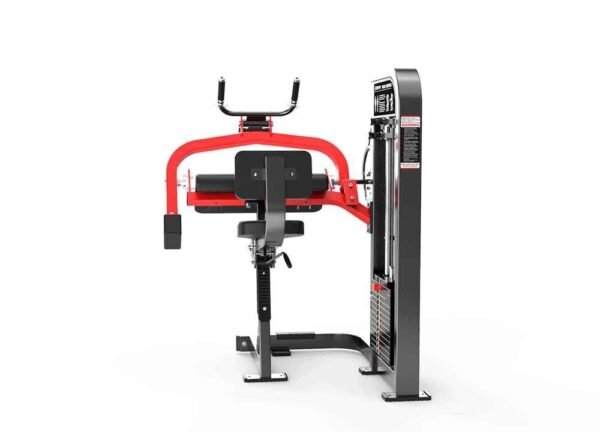 Triceps Extension - Image 2