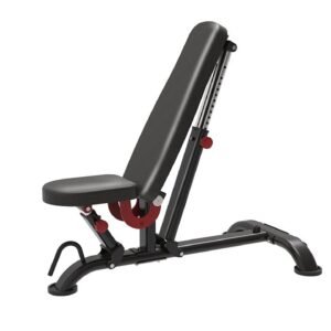 Adjustable Bench