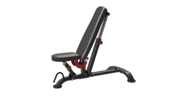 Adjustable Bench